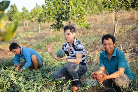 Ngọc Sơn mua 50 héc ta đất ở Bình Thuận, bỏ phố về quê