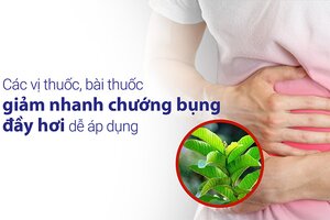 Các vị thuốc, bài thuốc giảm nhanh chướng bụng đầy hơi dễ áp dụng