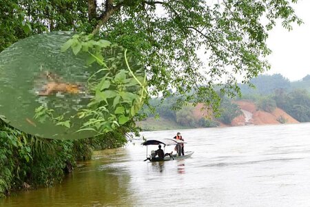 Tìm thấy thi thể người mẹ trong vụ lật đò ở Tuyên Quang