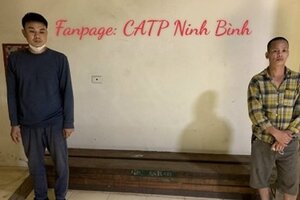 Bắt 2 đối tượng mang xe cải tiến đi từ Nam Định sang Ninh Bình trộm gỗ