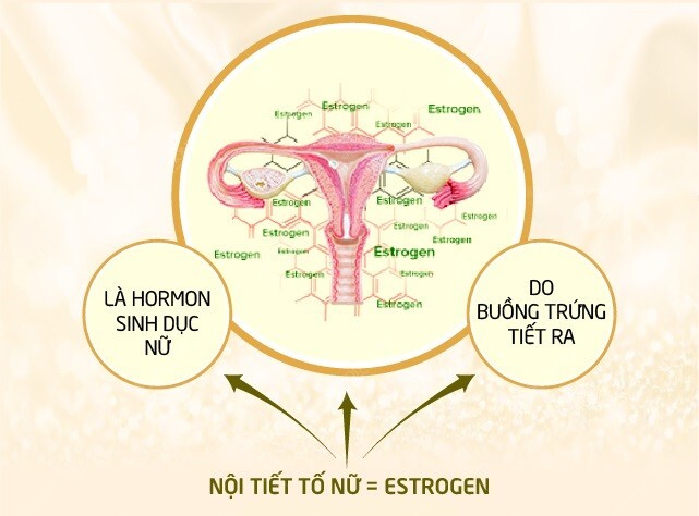 có nên bổ sung nội tiết tố nữ