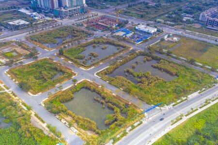 Tự ý bỏ cọc sẽ cấm tham gia đấu giá trong 5 năm