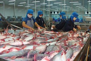 Vĩnh Hoàn chi 500 tỷ đồng đầu tư vào nhà máy chế biến trái cây tại Đồng Tháp