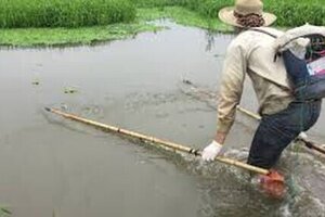 Đắk Lắk: Đánh cá bằng kích điện, người đàn ông bị điện giật tử vong