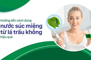 Nước súc miệng từ lá trầu không: Hiệu quả nhưng tiềm ẩn nguy cơ