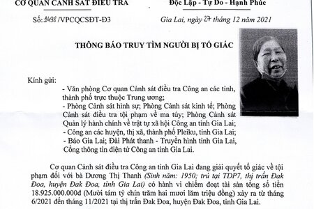 Cụ bà 72 tuổi lừa đảo 19 tỷ đồng