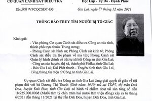 Cụ bà 72 tuổi lừa đảo 19 tỷ đồng