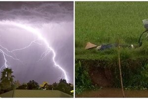TT-Huế: Một người đàn ông bị sét đánh tử vong khi đang thu hoạch lúa