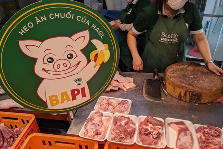 Bầu Đức lãi đậm nhờ heo ăn chuối BAPI