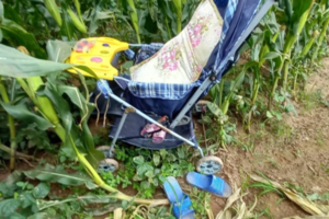 Nữ giáo viên cùng hai con nhỏ mất tích ở bờ sông sau tin nhắn từ biệt