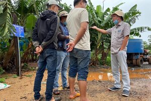 Bên trong trang trại nghìn ha trồng chuối của Tập đoàn Hoàng Anh Gia Lai