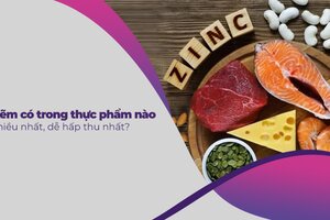 Kẽm có trong thực phẩm nào nhiều nhất, dễ hấp thu nhất?