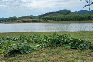 Đi thả lưới đêm, hai anh em ruột đuối nước thương tâm