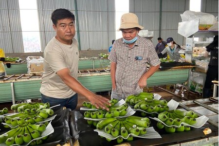 Bầu Đức hoàn tất thoái vốn khỏi HNG