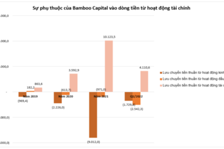 Bamboo Capital dòng tiền âm, gánh nặng nợ tăng cao