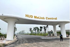 Lo ngại "thổi giá" từ việc doanh nghiệp bán nhà kiểu trả giá cạnh tranh