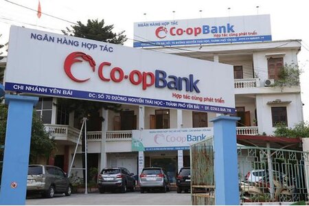 Bắt nữ nhân viên Co-opBank chiếm đoạt tiền của gần 100 khách hàng