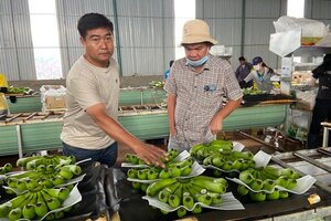 Hoàng Anh Gia Lai của bầu Đức lãi đột biến