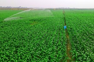 Mô hình phát triển bền vững “Vinamilk Green Farm” được chia sẻ tại hội nghị sữa toàn cầu