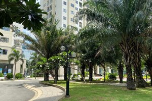 Sống xanh ở khu dân cư An Sương