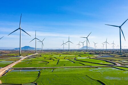 Bloomberg: Trung Nam Group được định giá 1 tỷ USD, tính bán bớt dự án điện gió