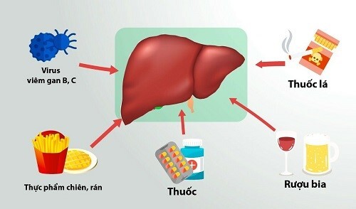 thuốc bảo vệ gan