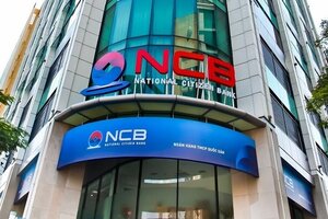 NCB đấu giá, thu giữ nhiều bất động sản tại TP HCM, Đồng Nai, Long An
