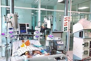 Bé trai phải chạy ECMO và lọc máu suốt 1 tháng sau khi bị ong vò vẽ đốt 15 vết