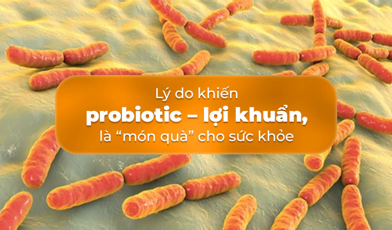 bổ sung probiotic