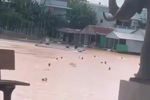 Vụ hơn 40 người trốn khỏi casino ở Campuchia: Tìm thấy thi thể thiếu niên 16 tuổi