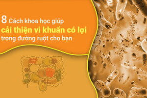 8 Cách khoa học giúp cải thiện vi khuẩn có lợi trong đường ruột