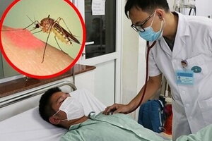 Gia Lai ghi nhận 954 ổ dịch sốt xuất huyết, dịch đang bùng phát 