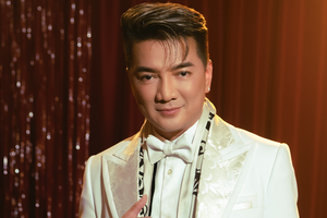 Đàm Vĩnh Hưng được xác định là Người bị hại, bị bà Phương Hằng công khai xúc phạm danh dự