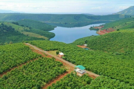 Novaland xin làm dự án 30.000 ha, tổng mức đầu tư 10 tỷ USD ở Lâm Đồng