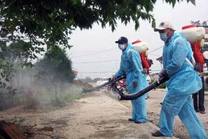 Tiền Giang ghi nhận hơn 6.047 ca sốt xuất huyết, 4 trường hợp tử vong