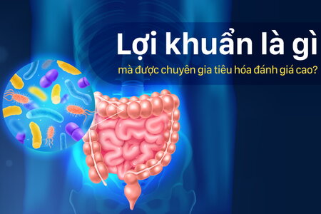 Lợi khuẩn là gì mà được chuyên gia tiêu hóa đánh giá cao?