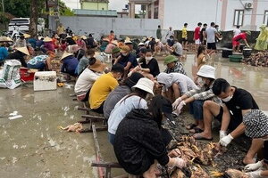 Ấm lòng hình ảnh cả làng chung tay giúp chủ trang trại sơ chế 4.000 con gà chết vì mưa lũ