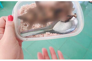 Phạt 7,5 triệu đồng người đăng tin giả 'học sinh ăn cơm với thịt chuột'