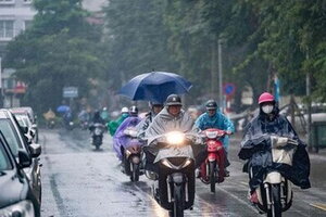 Bão số 6 (Nesat) cách quần đảo Hoàng Sa khoảng 520km, sức gió giật cấp 14