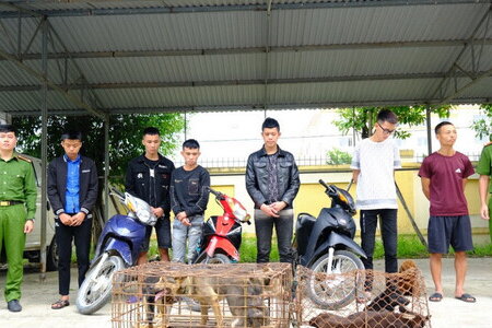  Hà Tĩnh: Bắt giữ ổ nhóm 9 đối tượng gây ra hàng loạt vụ trộm chó 