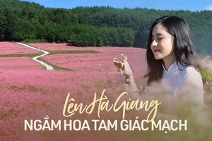 Đến Hà Giang mùa tam giác mạch nhất định phải thử 8 món ngon quên lối về này