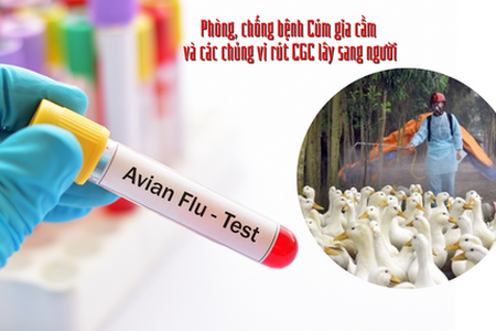 Tình hình sức khỏe hiện tại của bé gái 5 tuổi mắc cúm A(H5) ở Phú Thọ
