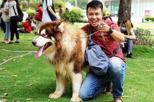 Tranh cãi chuyện nuôi chó, mèo ở chung cư, hàng xóm từ mặt nhau, đâu là giải pháp?