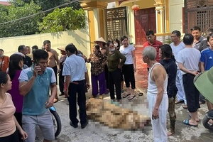 PGS.TS Trịnh Hoà Bình: 'Ba người con gái mang xăng đốt nhà mẹ đẻ mang tội bất hiếu'