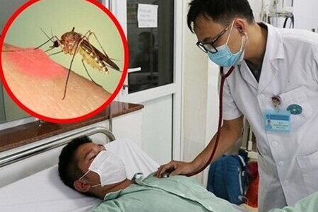 Hà Nội ghi nhận thêm 3 ca tử vong do sốt xuất huyết trong một tuần