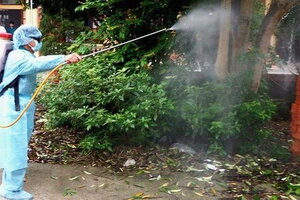 Cả nước ghi nhận hơn 292.000 ca mắc sốt xuất huyết, 112 trường hợp tử vong