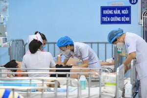 Cả nước ghi nhận hơn 303.000 ca mắc sốt xuất huyết, 112 trường hợp tử vong
