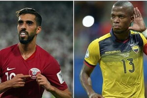 Đại bàng tiên tri dự đoán về trận Qatar vs Ecuador?