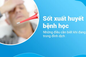 Sốt xuất huyết bệnh học: Những điều cần biết khi đang trong đỉnh dịch