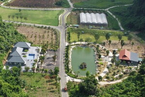 Thanh Hóa: Xây công trình trên đất rừng và đất quốc phòng, một hộ dân bị phạt gần 140 triệu đồng